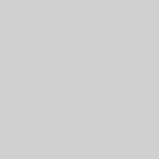30404 - Aschlicht