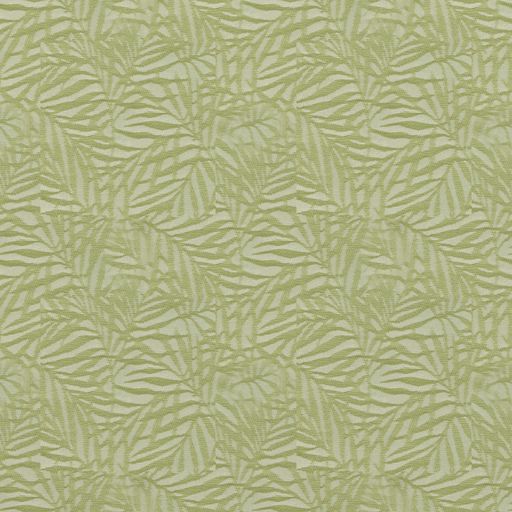 53801 - Limettenmoos – Muster
