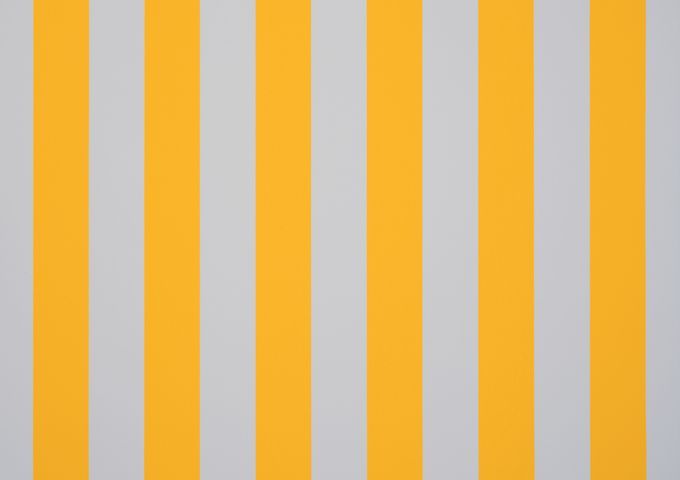 ORC8553 - bs jaune - blanc