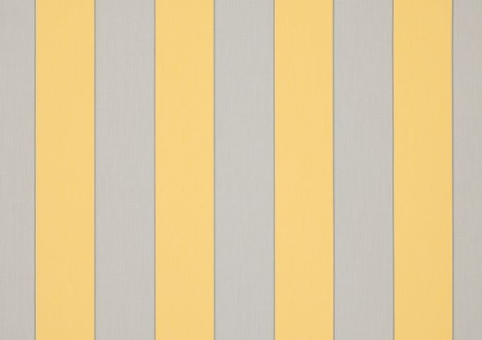 ORCD303 - goldies sienne jaune