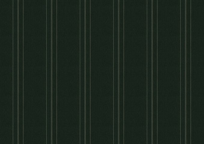 ORCD541 - halo olive