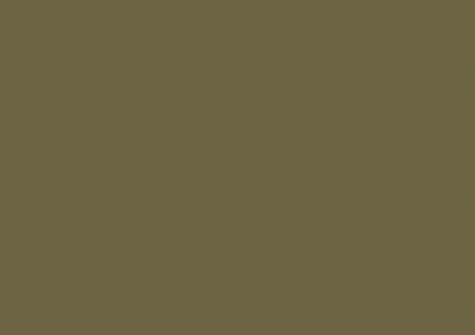 ORCU788 - jungle link