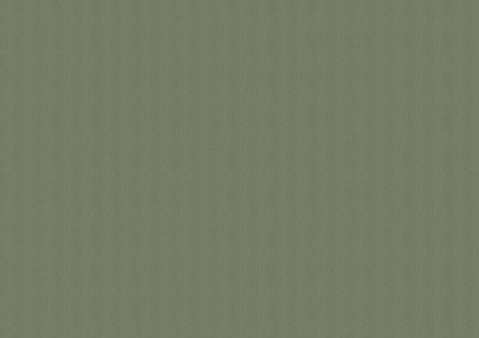 ORCU792 - muralis chiné