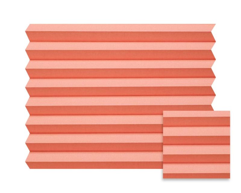 N544 - korallenbl&uuml;te
