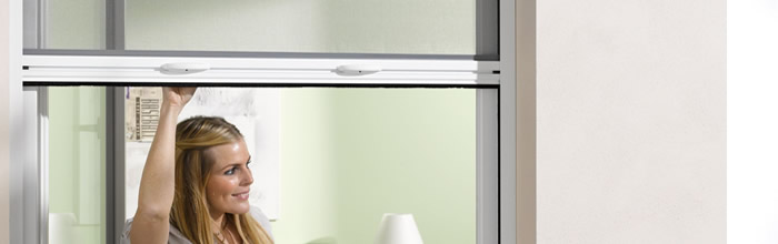 Fenster Insektenschutzrollo