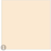 Sichtschutzrollo Farbe beige 1068
