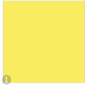 Sichtschutzrollo Farbe gelb 4073