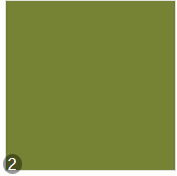 Sichtschutzrollo Farbe grün 4097