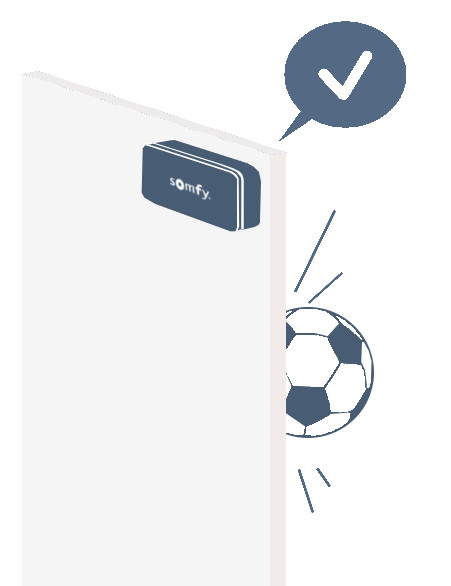 Somfy&reg; IntelliTAG Ersch&uuml;tterungssensor: OK